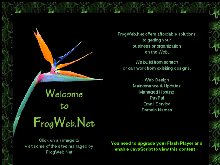 www.frogweb.net