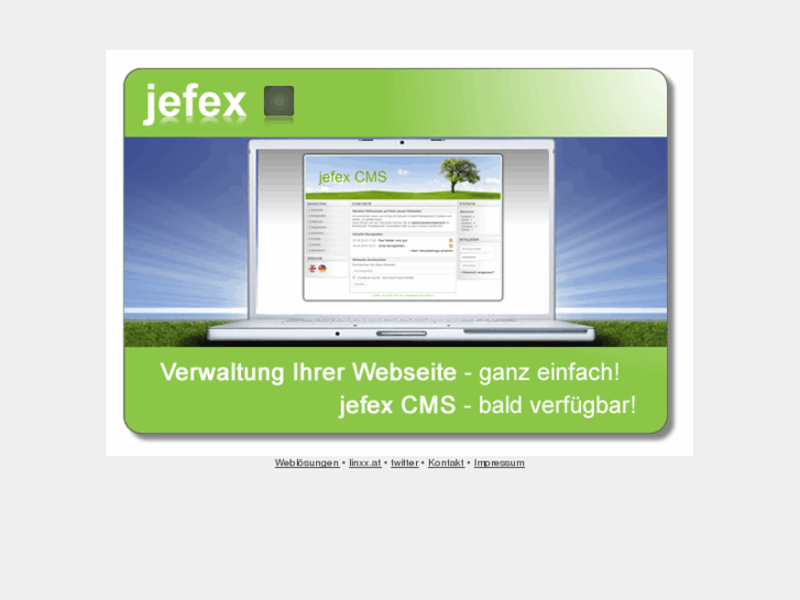 www.lingx.de