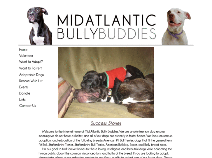 www.midatlanticbullybuddies.org