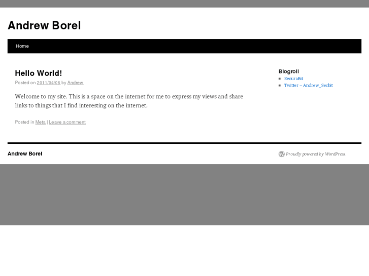www.andrewborel.com