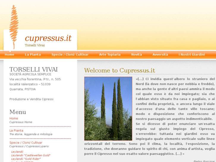 www.cupressus.it