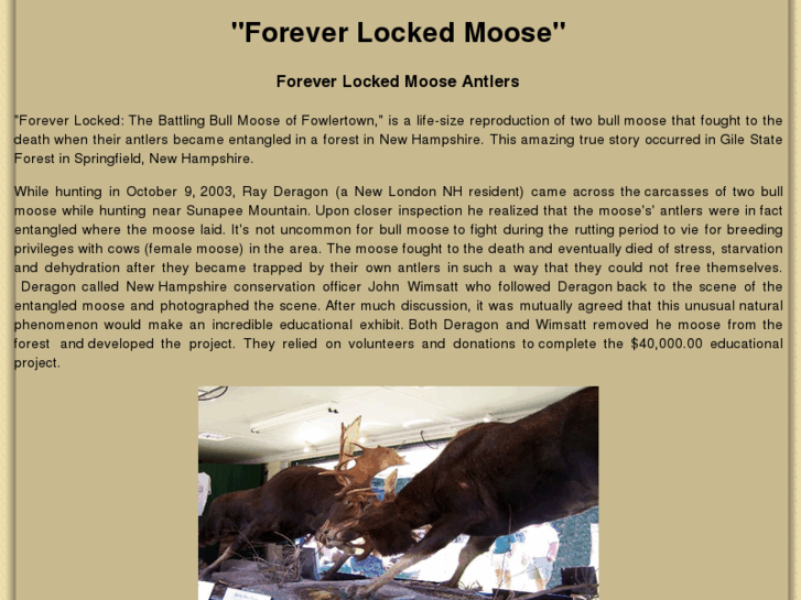 www.foreverlockedmoose.com