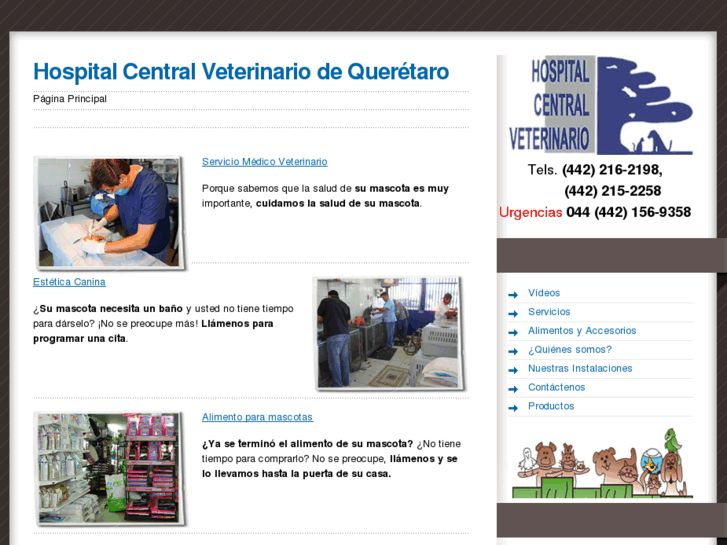 www.hospitalcentralveterinario.com