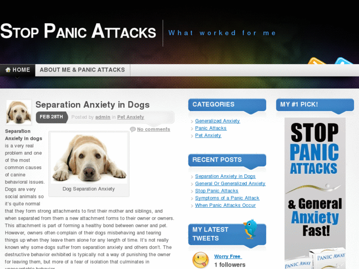 www.howtostopmypanicattacks.com