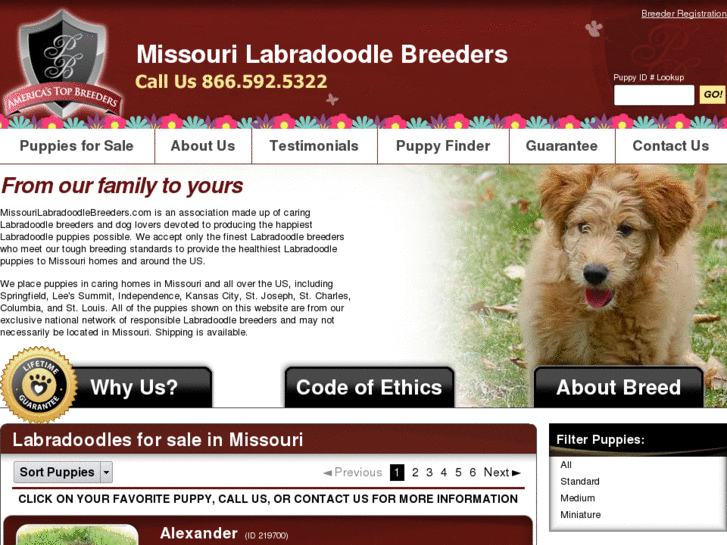 www.missourilabradoodlebreeders.com