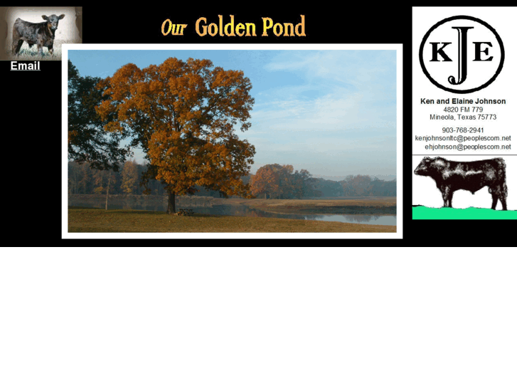 www.ourgoldenpond.com