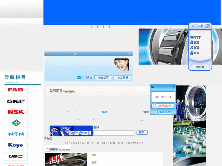 www.skf-bearing.cn