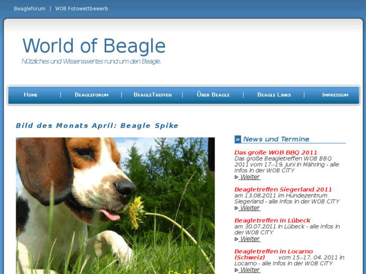 www.world-of-beagle.com