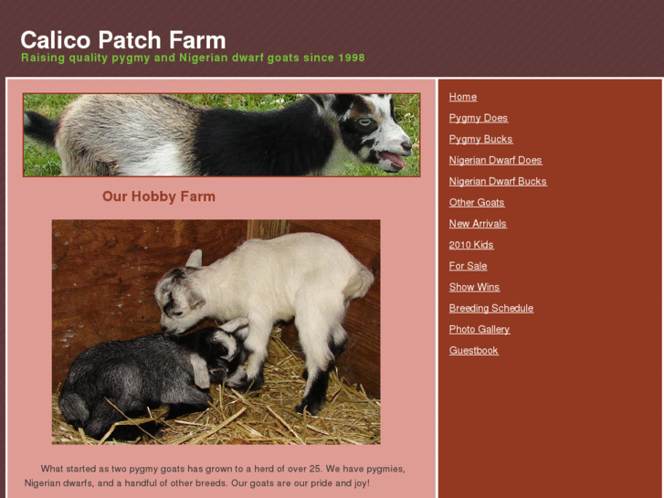 www.calicopatchfarm.com