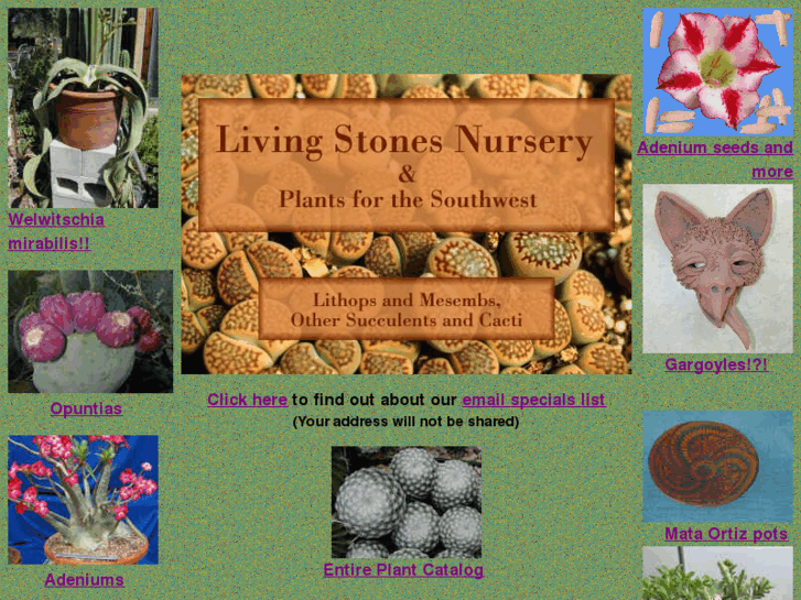 www.lithops.net