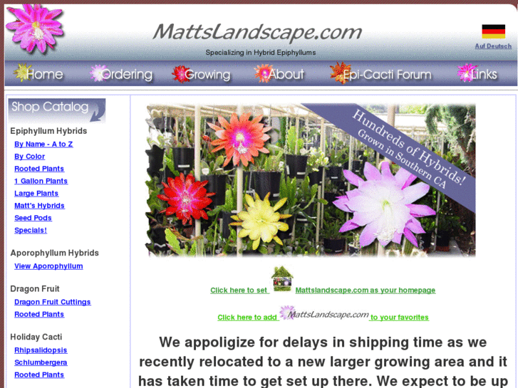 www.mattsepis.com