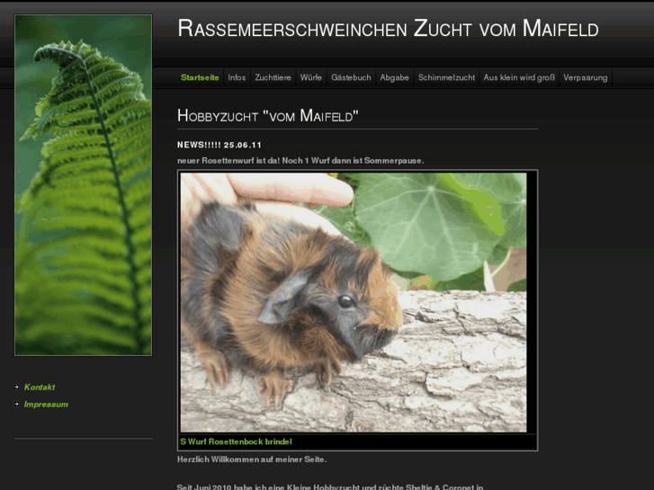 www.meerschweinchen-zucht.com