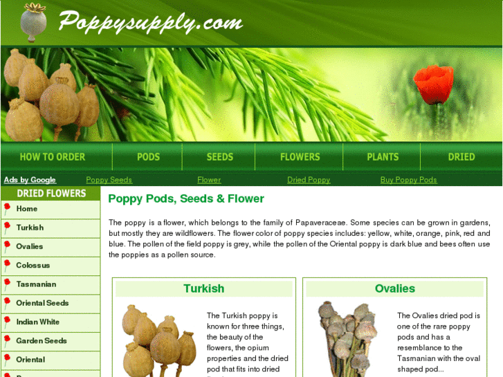 www.poppysupply.com