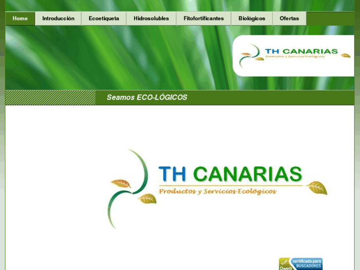 www.thcanarias.com