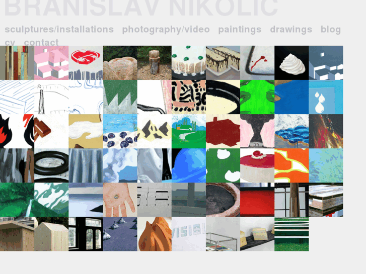 www.branislavnikolic.net