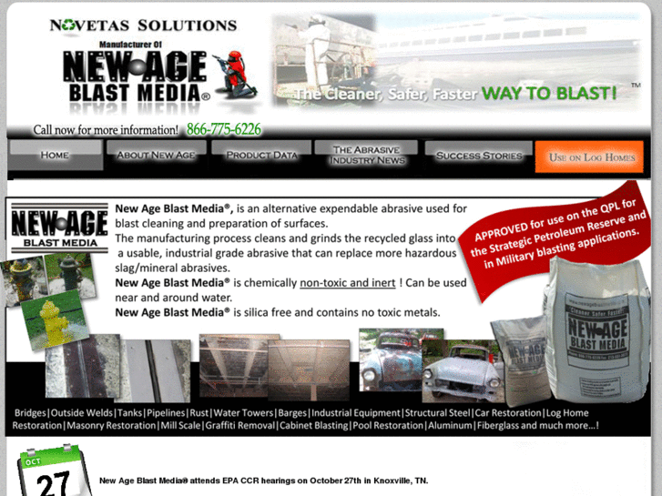 www.cleanlogblast.net