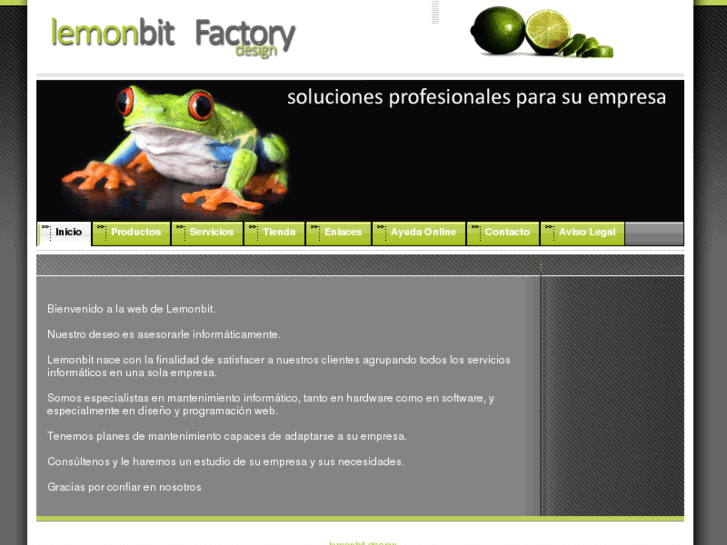 www.lemonbit.es