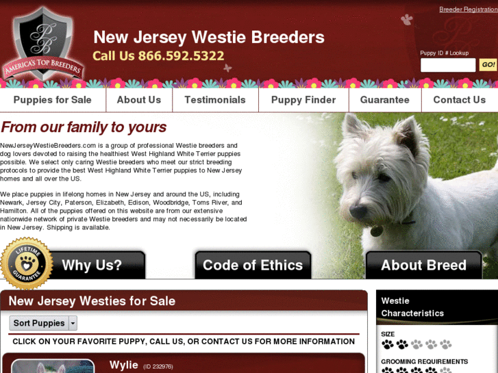 www.newjerseywestiebreeders.com