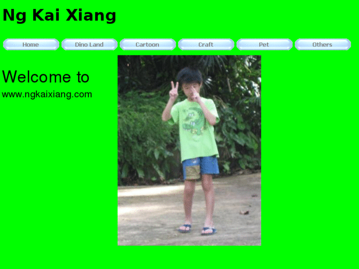 www.ngkaixiang.com