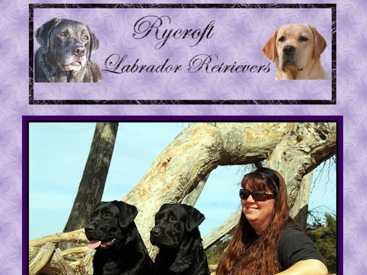 www.rycroftlabradors.com