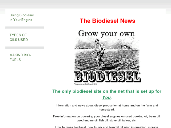 www.thebiodieselnews.com