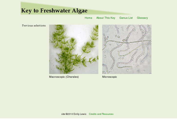 www.algaekey.com