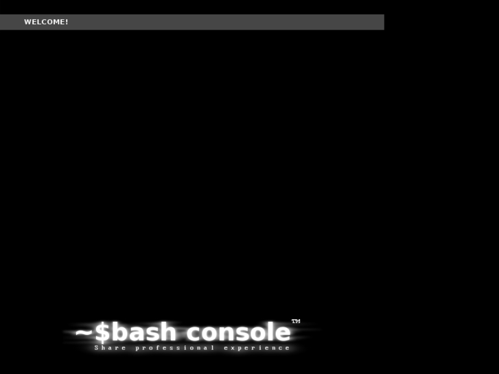 www.bashconsole.com