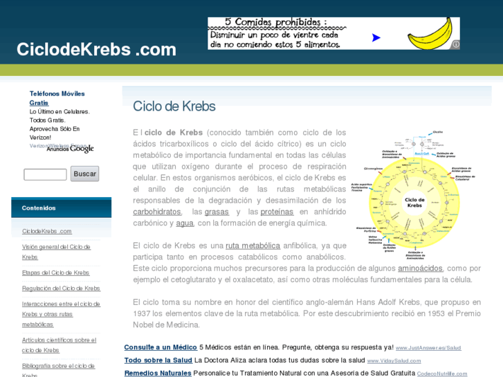 www.ciclodekrebs.com