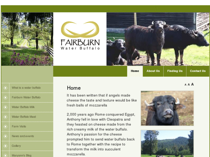 www.fairburnwaterbuffalo.com