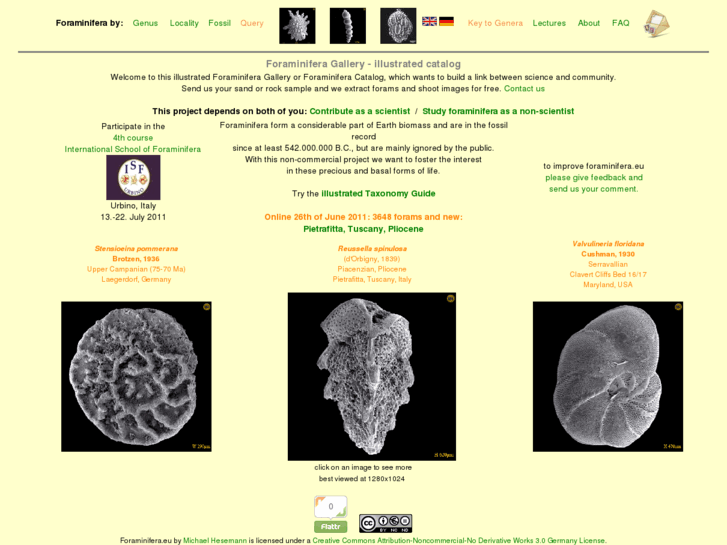 www.foraminifera.eu