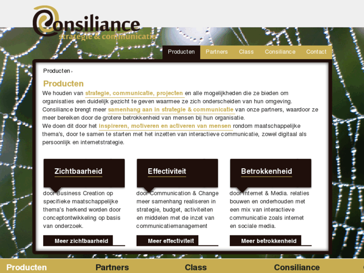 www.consiliance.nl