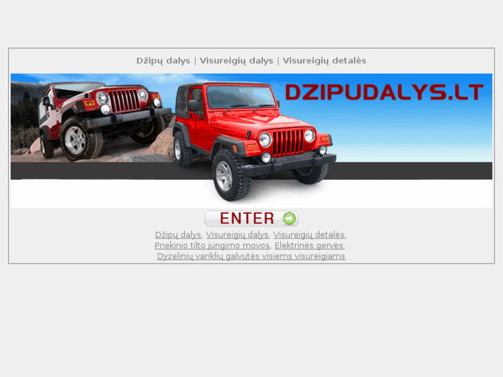 www.dzipudalys.com