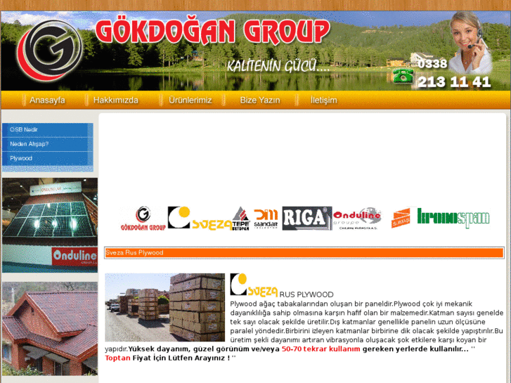 www.gokdogangroup.com