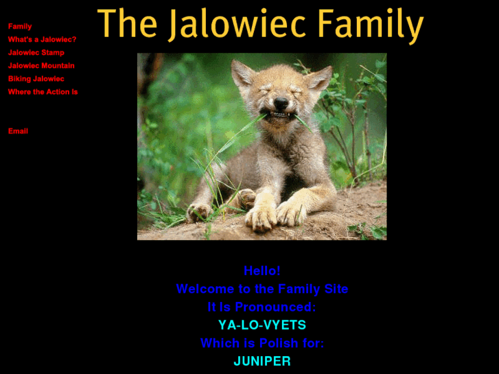 www.jalowiec.com