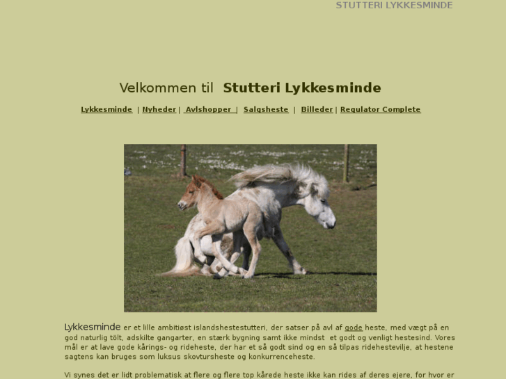 www.lykkesminde.com