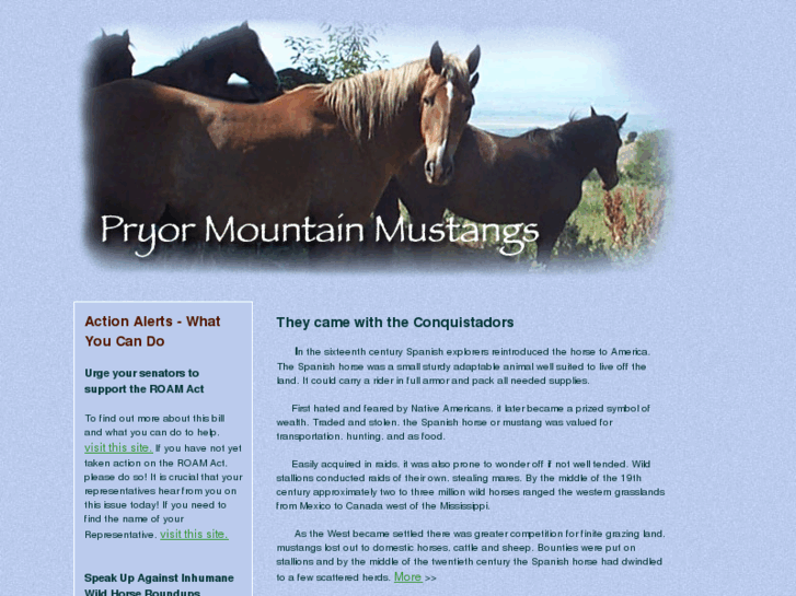 www.pryormountainmustangs.com