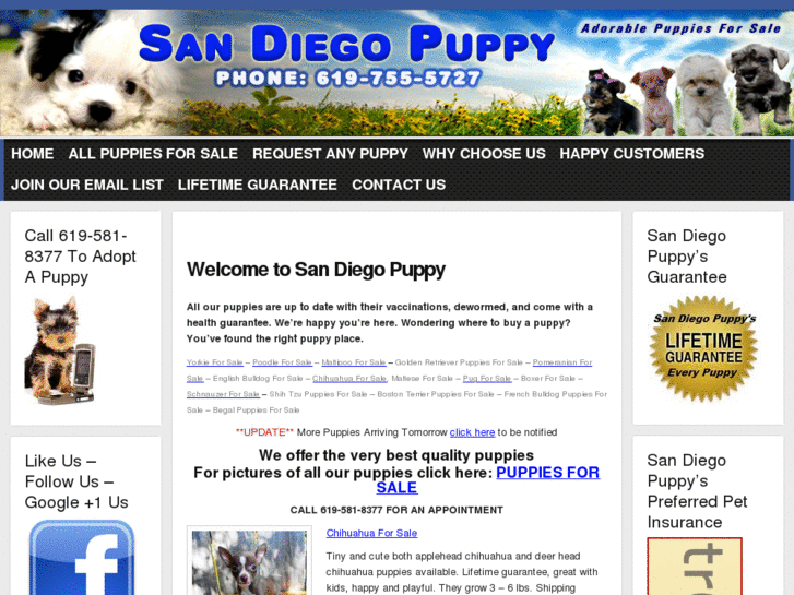 www.sandiegopuppy.info