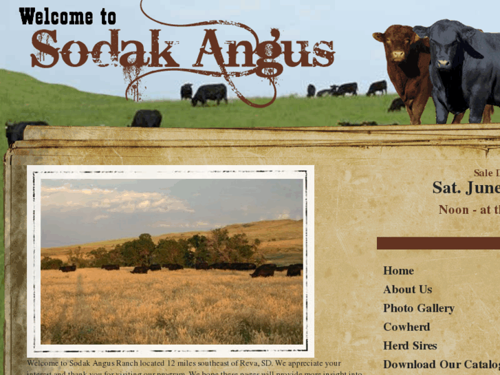 www.sodakangus.com