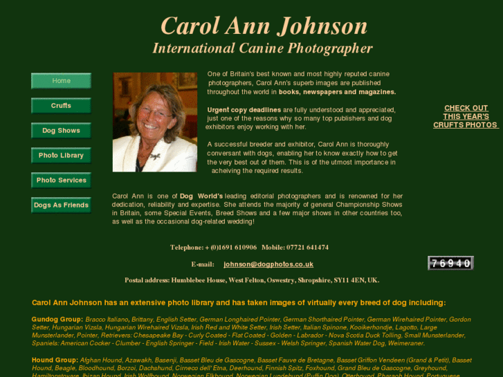 www.carolannjohnson.com