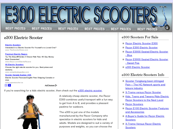 www.e300electricscooter.com