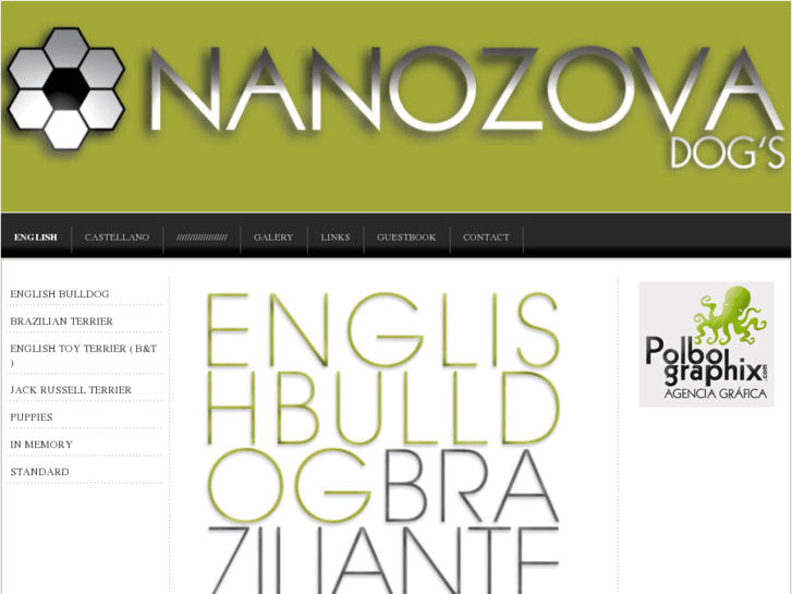 www.nanozova.net