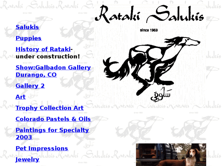 www.rataki-salukis-art.com