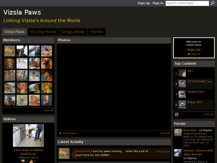 www.vizslapaws.com