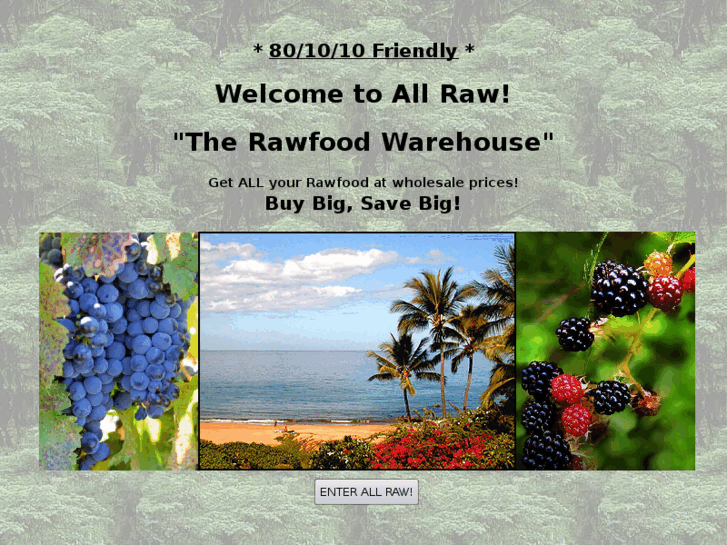 www.allraw.net