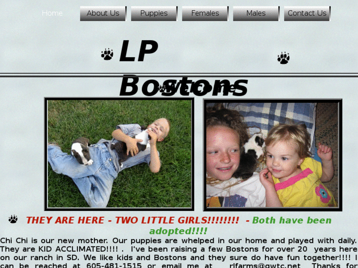 www.lpbostons.com