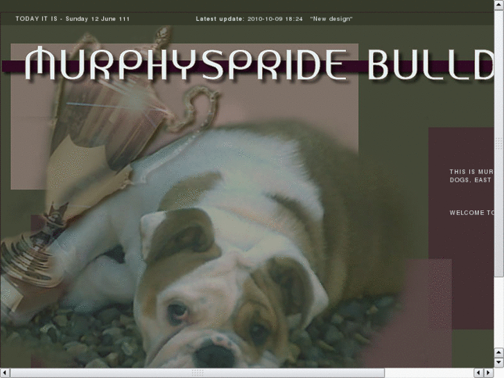 www.murphyspridebulldogs.com