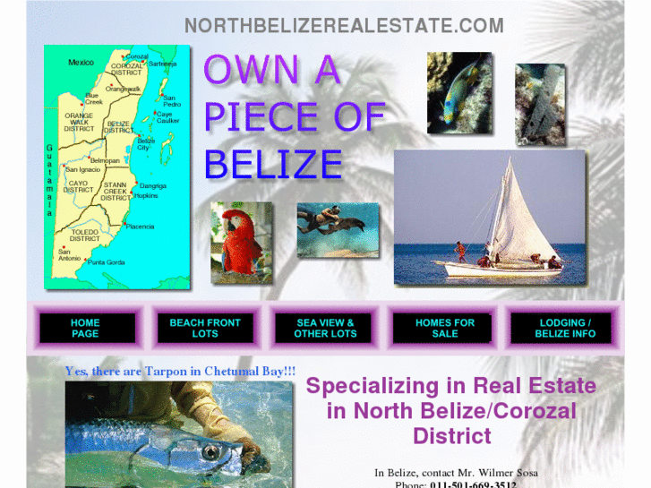 www.northbelizerealestate.com