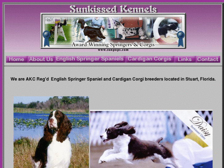 www.sunkissedkennels.com