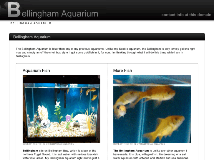 www.bellinghamaquarium.com