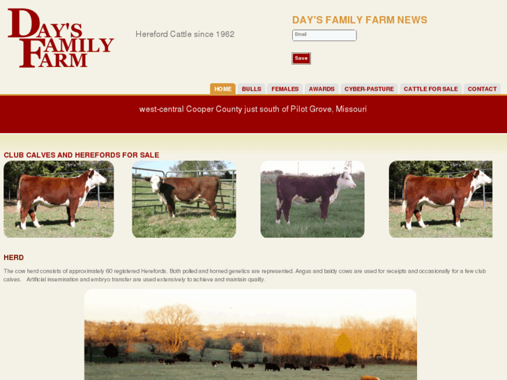 www.daysfamilyfarm.com